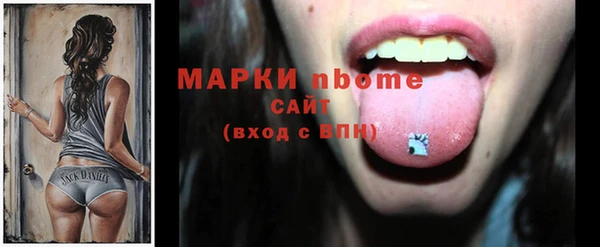 прущие грибы Болотное