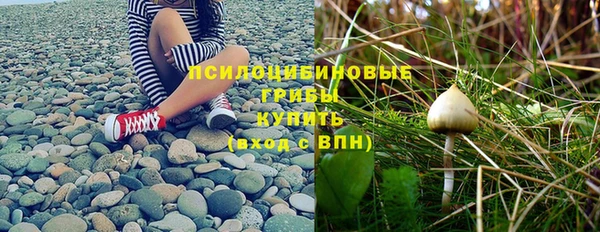 гидра Пестово