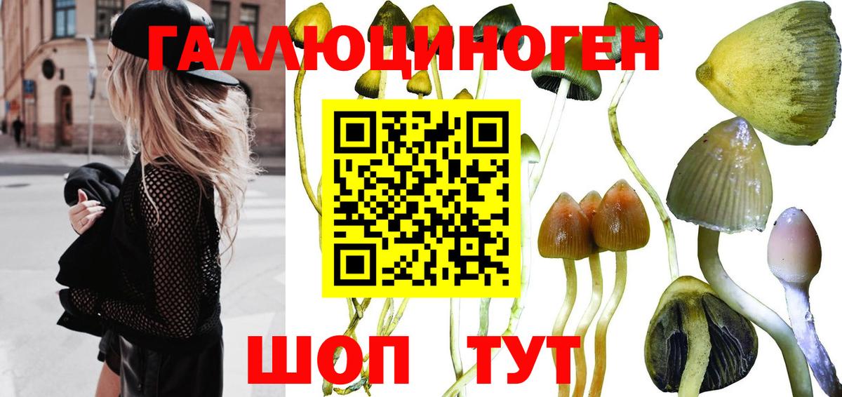 Галлюциногенные грибы MAGIC MUSHROOMS Нижневартовск