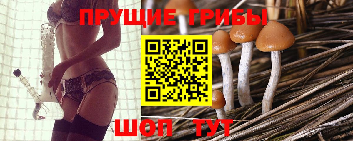 Галлюциногенные грибы Psilocybe  Галлюциногенные грибы мицелий  Нижневартовск 